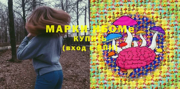 ПСИЛОЦИБИНОВЫЕ ГРИБЫ Дмитров