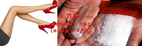 спайс Дмитриев