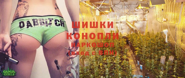 спайс Дмитриев