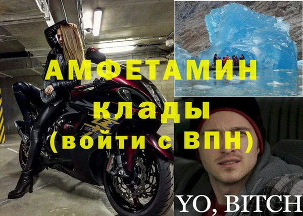 ПСИЛОЦИБИНОВЫЕ ГРИБЫ Дмитров