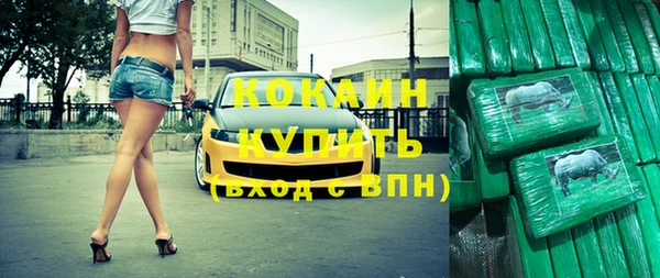 сатива Зуевка