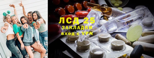 ПСИЛОЦИБИНОВЫЕ ГРИБЫ Дмитров