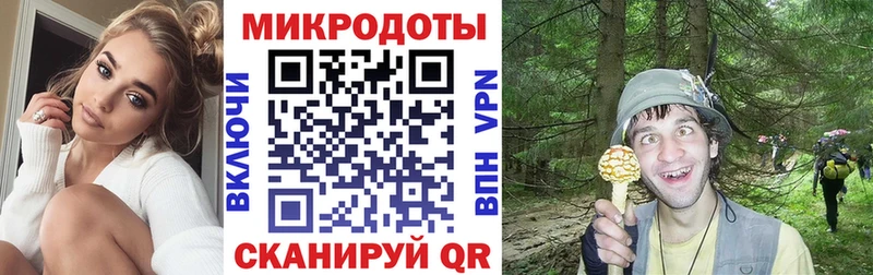 Псилоцибиновые грибы прущие грибы  Дудинка 